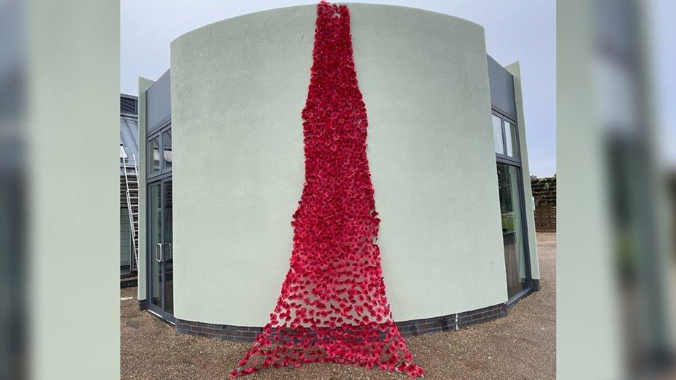 Poppy waterfall