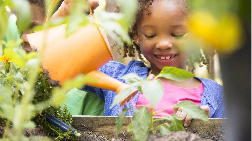 girl-watering-plants.