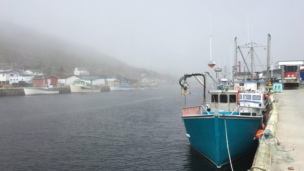 Boats in Petty Harbour, one of Newfoundland and Labrador's oldest fishing communities