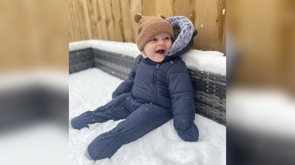 Vinnie's first snow day in Ely, Cardiff