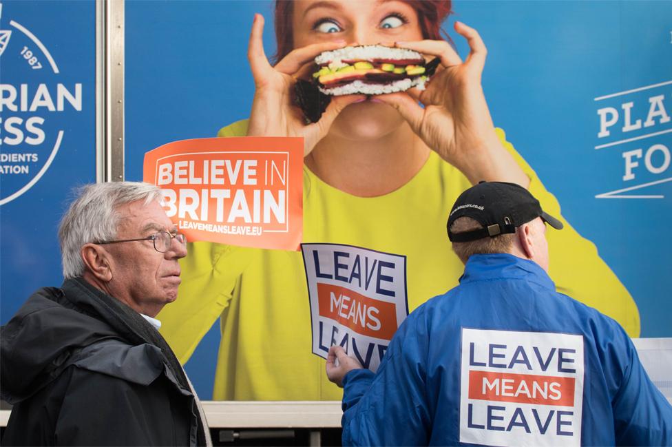 Pro-Brexit supporters demonstrate outside the Houses of Parliament