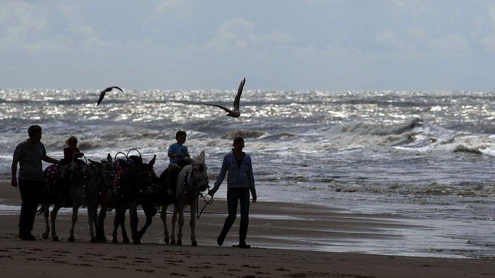 Donkeys on Blackpool beach generic