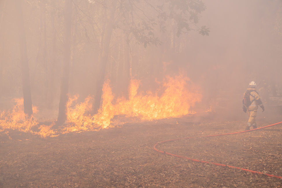 A tactical fire burns a patch of land next to a family home