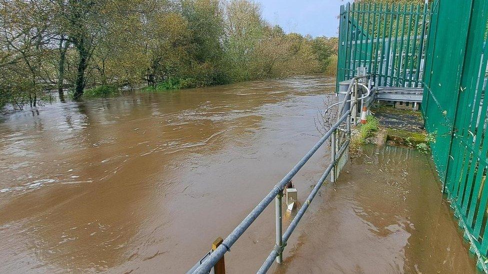 Testwood where the water is extracted