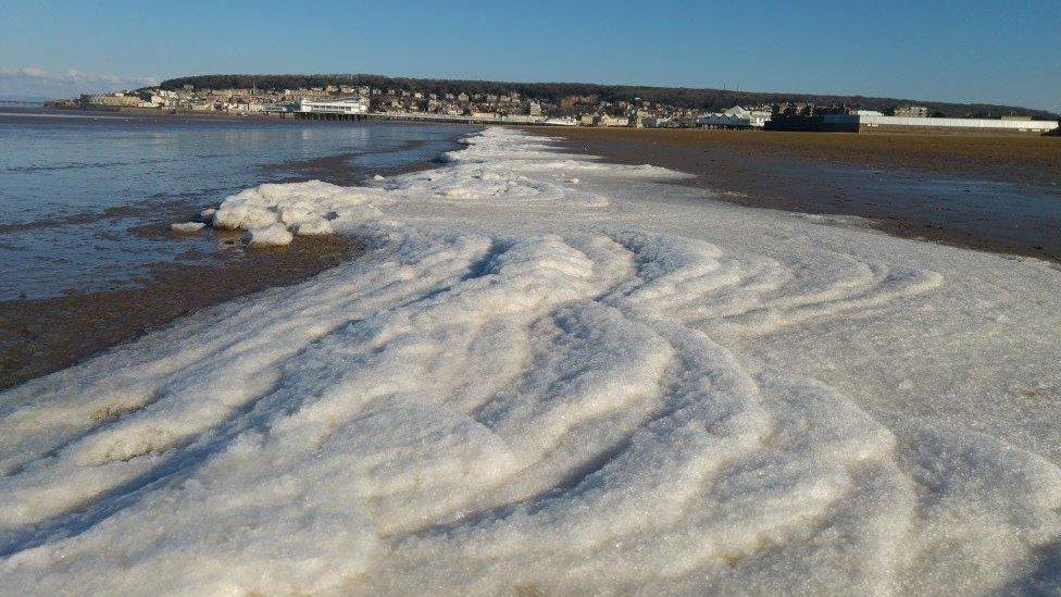 Frozen sea