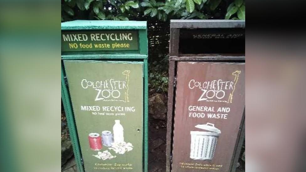 Bins at Colchester Zoo