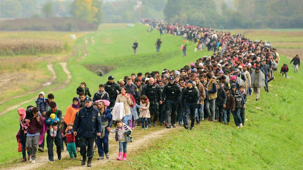 Migrants arriving in Slovenia from Croatia, 23 Oct 15