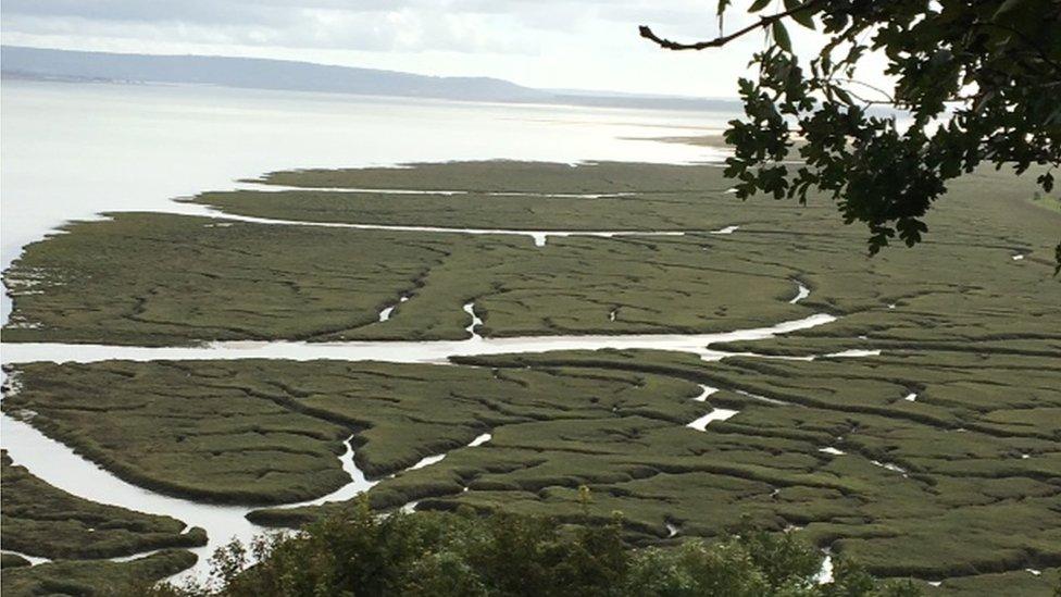 View over the estuary at Laugharne