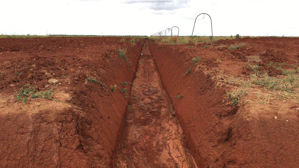 Empty red field of dirt