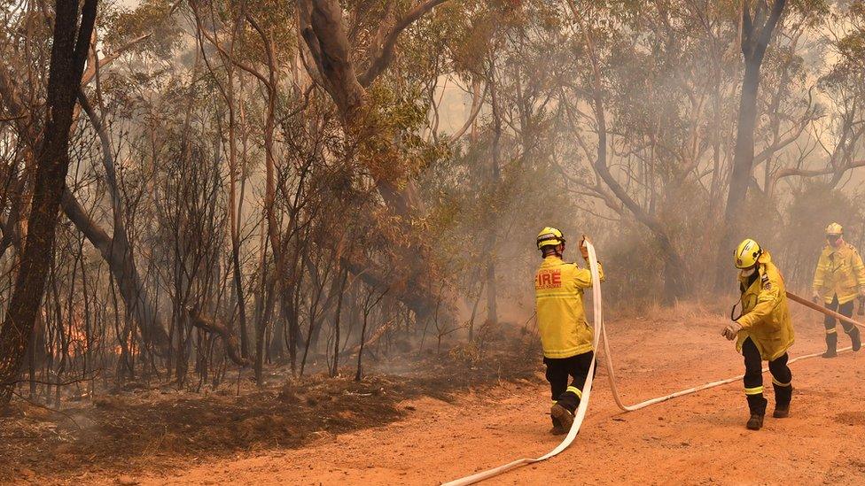 australia-bushfires.