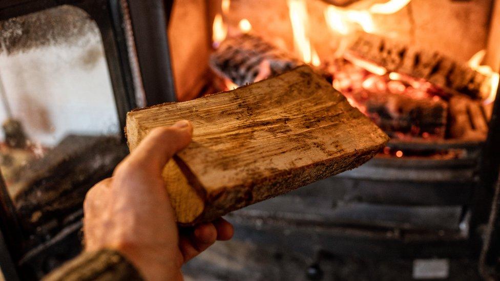 Wood Burning stove