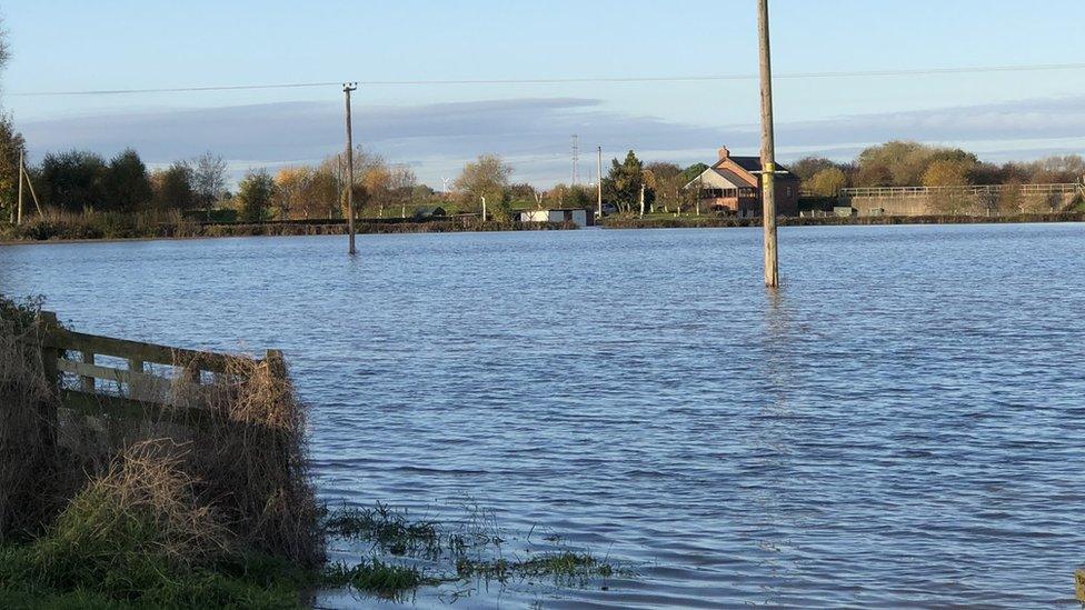 Flooded field