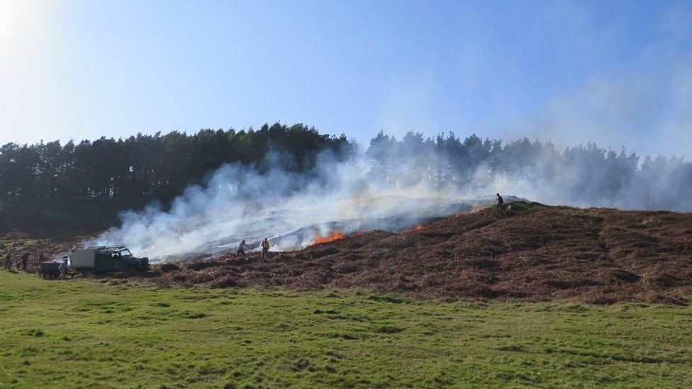 Bradgate Park fire