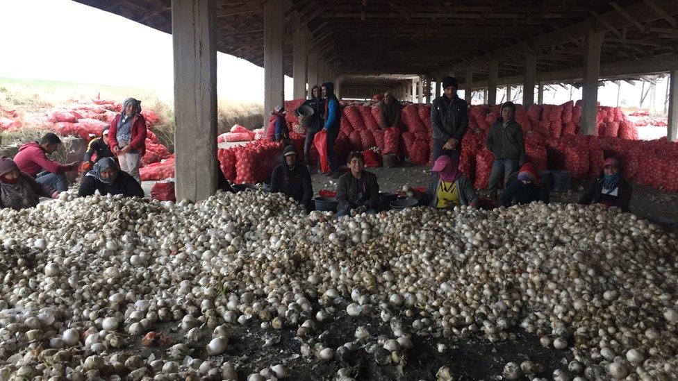 Turkey's government is blaming onion stockpilers for pushing up prices for shoppers