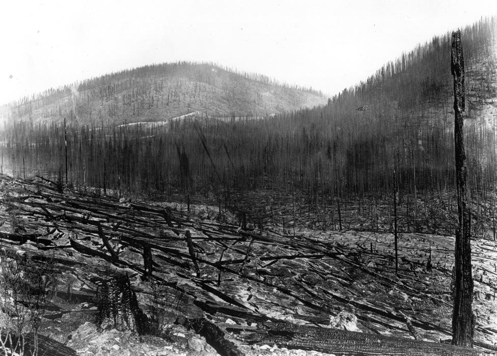 Montana valley burned in the great dire of 1910