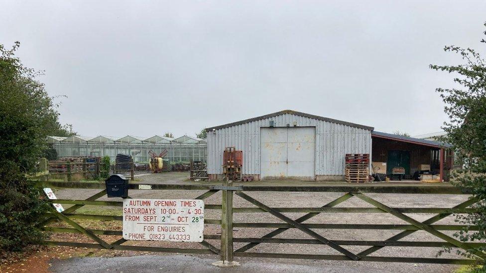 The nursery site close to Ruishton