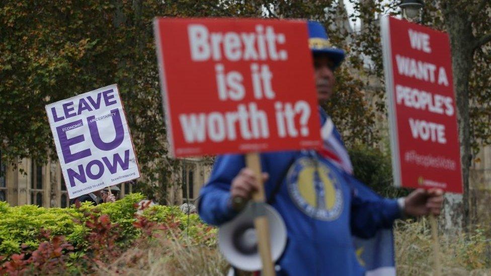 Leave and Remain supporters at Westminster