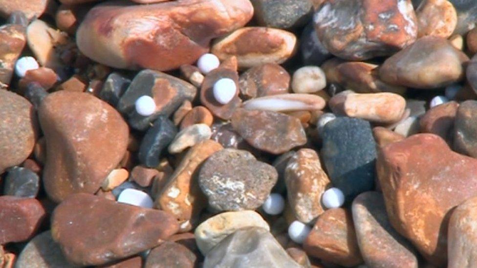 The small balls have blown across the beach and mingled in with the sand, shingle and stone