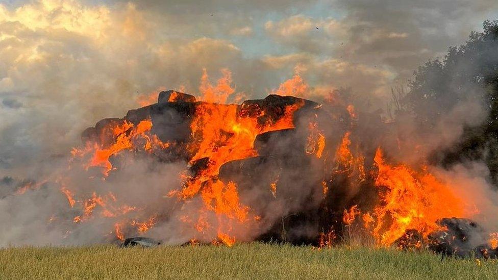 Haystack fire, Sheering