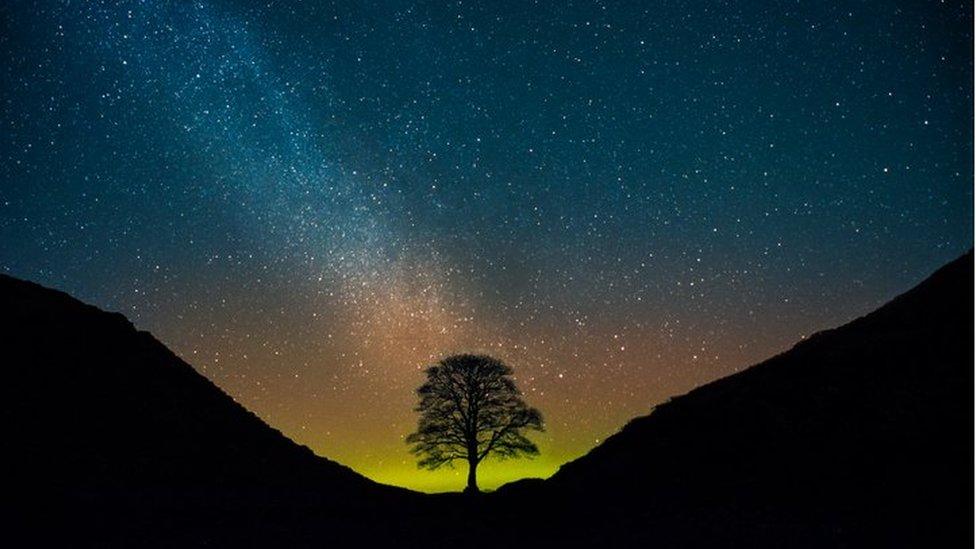 Sycamore Gap