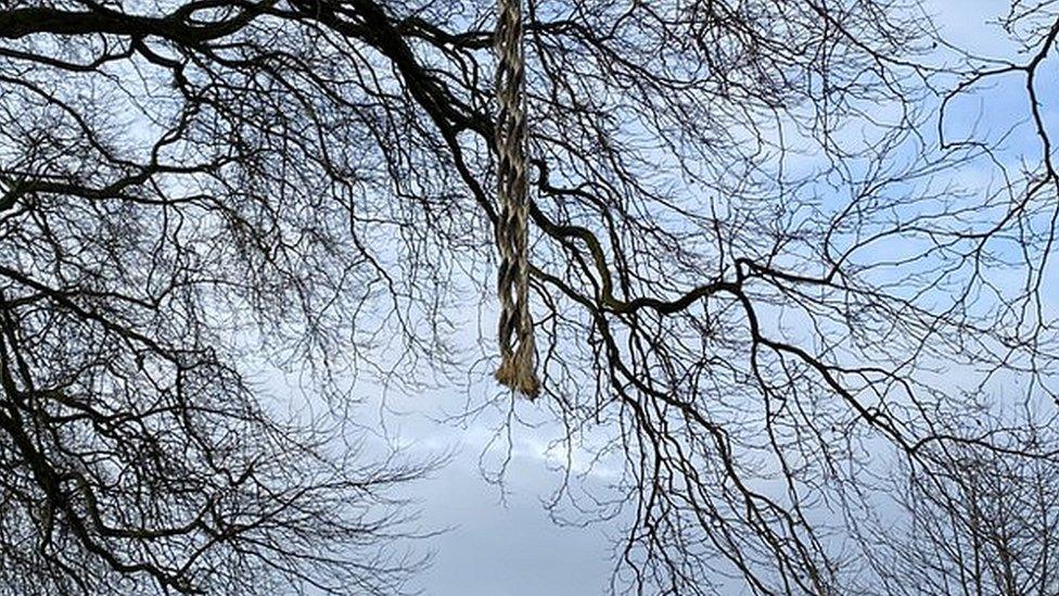 Severed rope swing in Victoria Park in Bristol