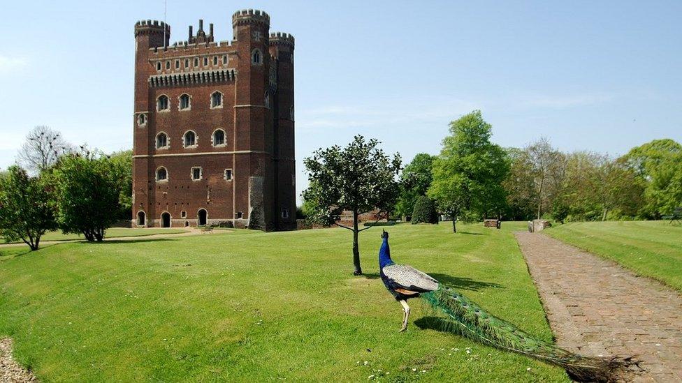 Peacock at Tattershall Castle in Lincolnshire