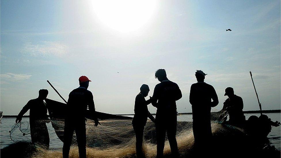 Fishermen separate the fish caught in the net at Vellayil Fishing Harbour on September 15, 2021 in Kozhikode,