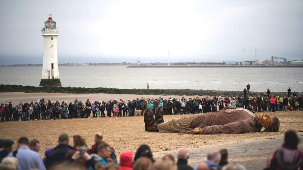 Giant sleeping on the beach