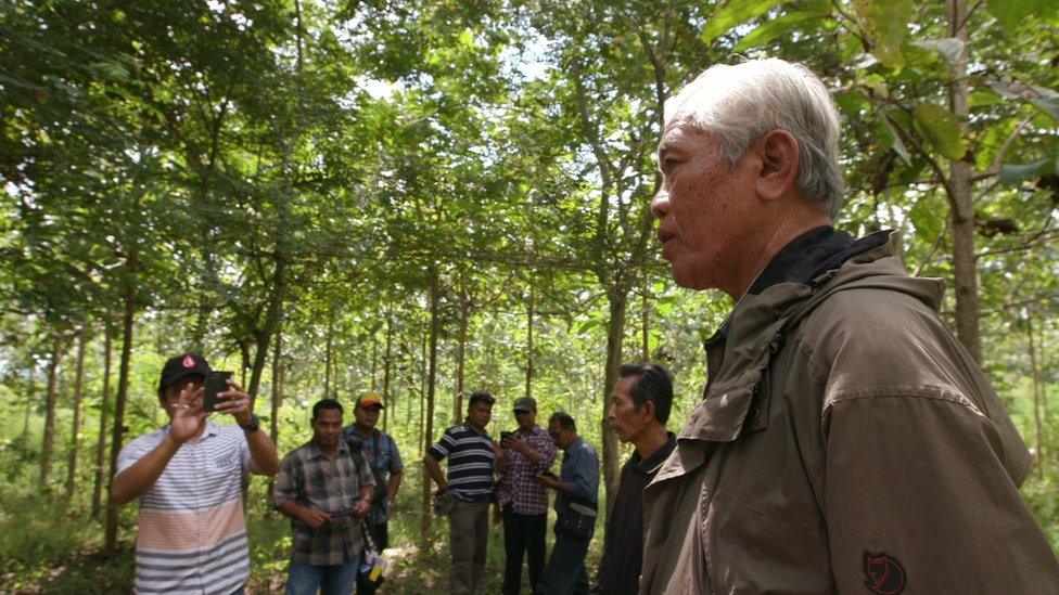 An old man, a survivor of the killings, in a teak forest, with several local intelligence officials, all men, observing from a distance, with one taking pictures with his phone.