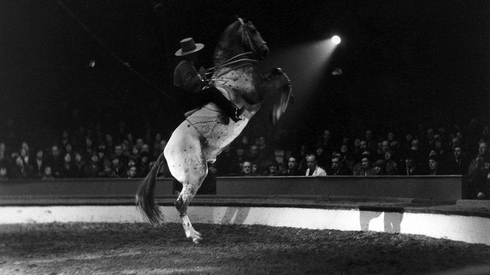 Circus-performer-riding-on-a-rearing-horse-in-1930s.