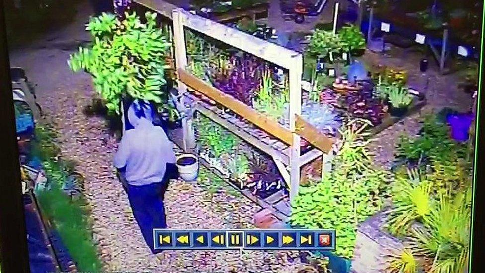 CCTV of burglars