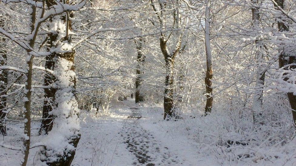 What a treat to have gorgeous sun and snow. This is a beautiful walk near my home in Balerno.