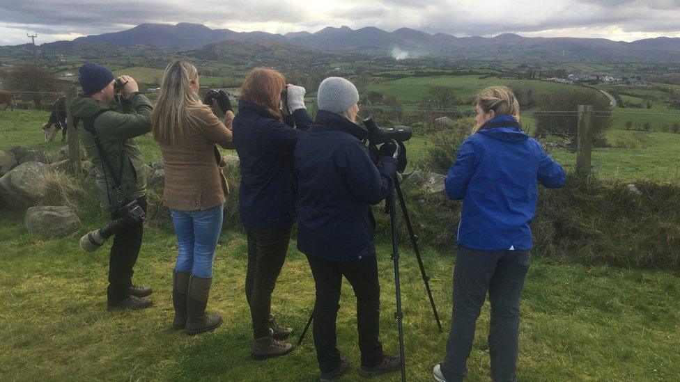 Wildlife officers scan the sky for birds