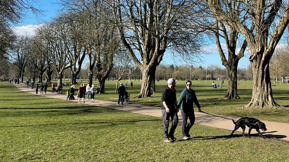 Llandaff fields