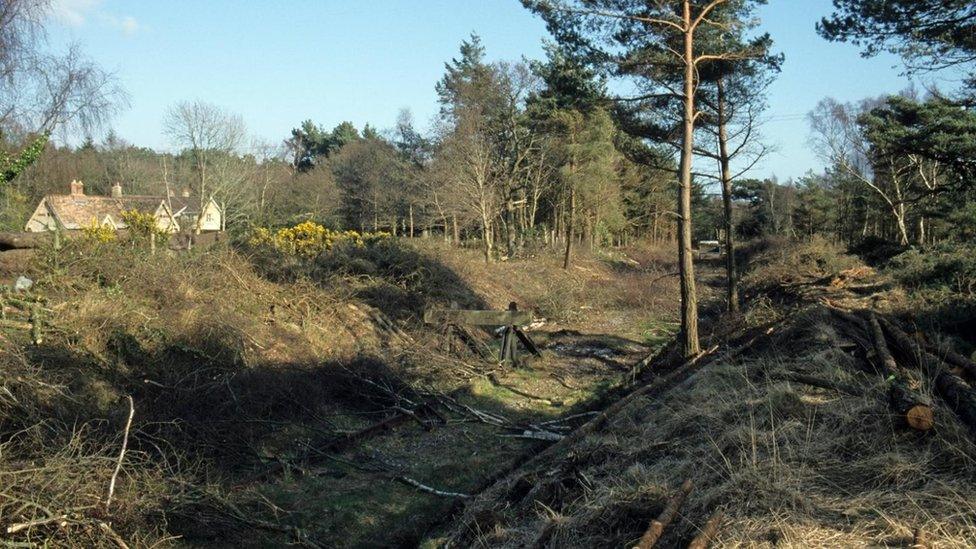 Swanage Railway line at Motala photographed in 1999