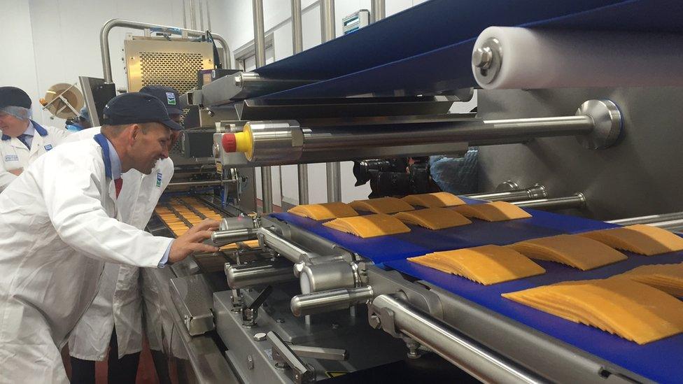 A Dale Farm employee checks out the new production line