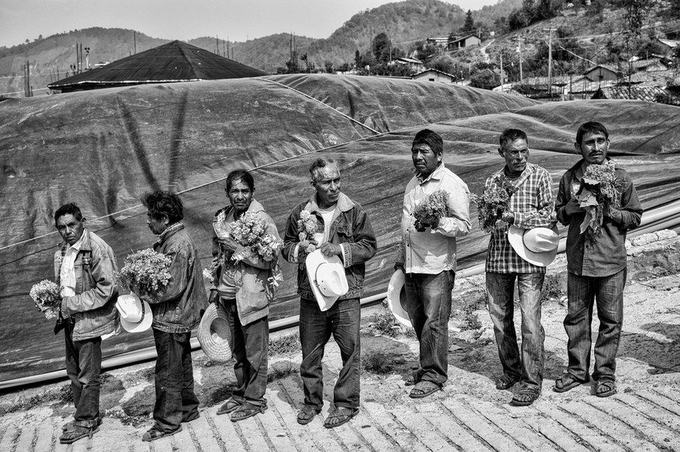 A group of men offer flowers during a burial