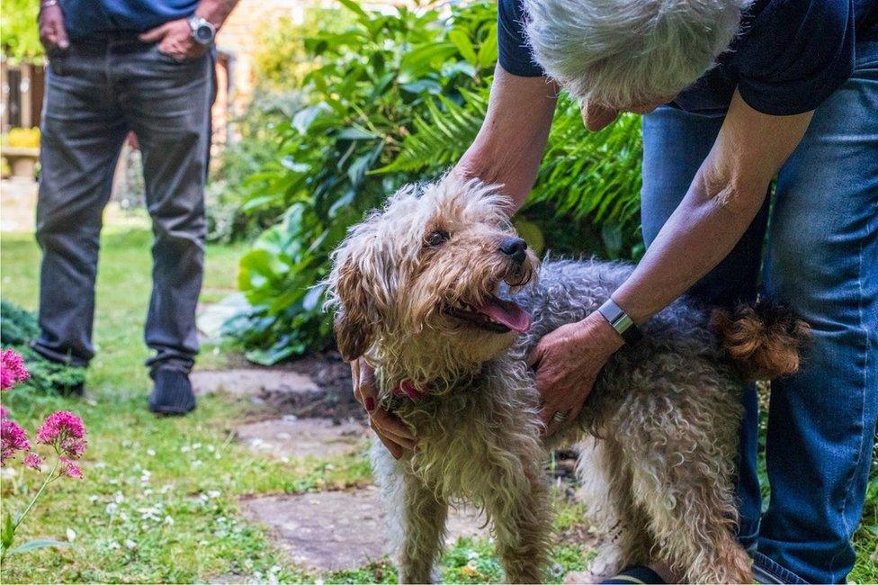 Rescue dog Bella with her new family