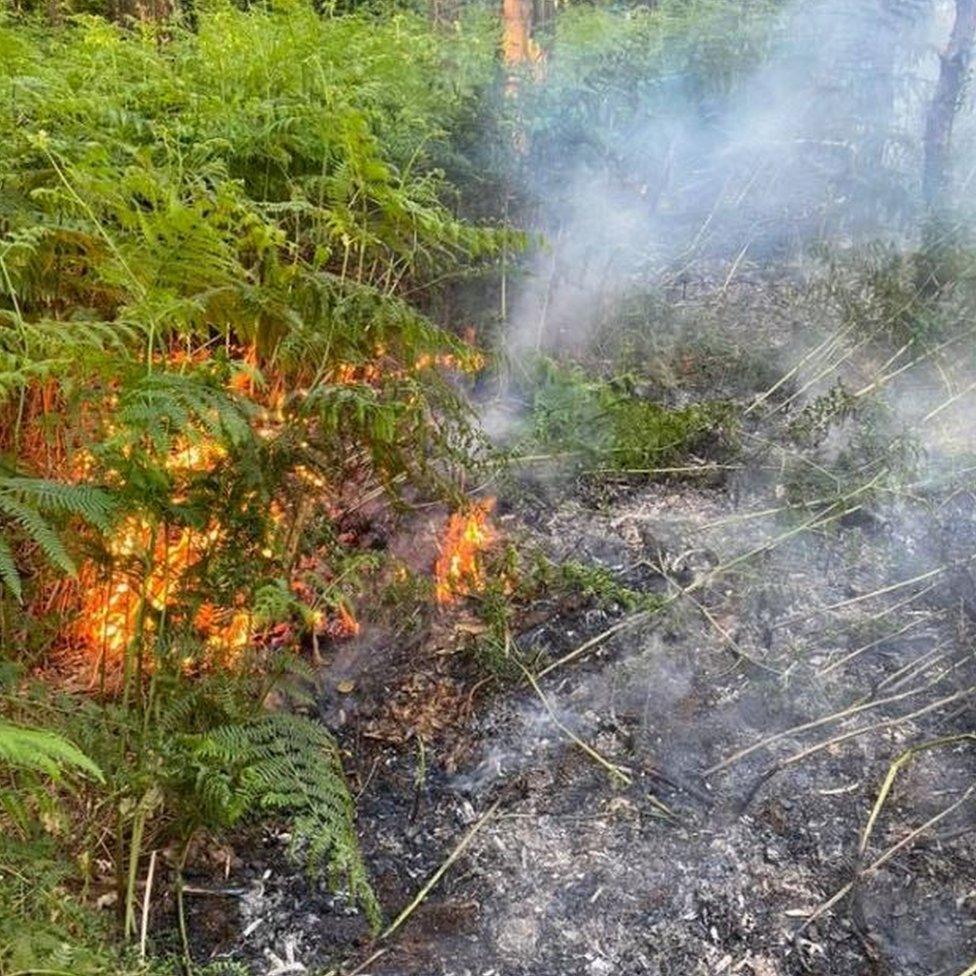 Fire at Langdon Hill