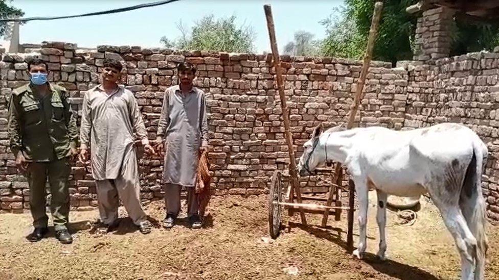 The donkey and cart, where they were held by police for four days