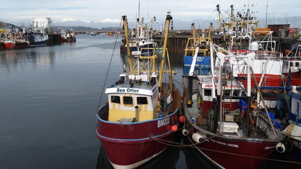 Trawlers in the harbour in Brixham, Devon.