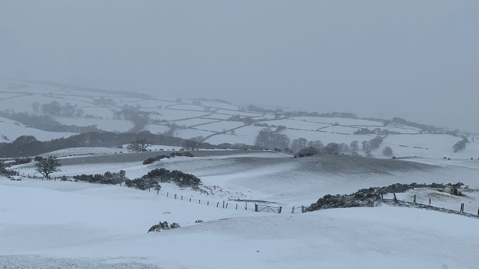 Snowy fields in Tan y Fron, Bylchau on Thursday