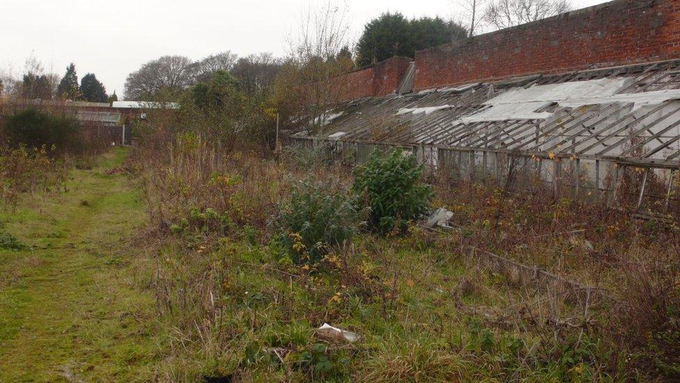 Walled Kitchen Garden