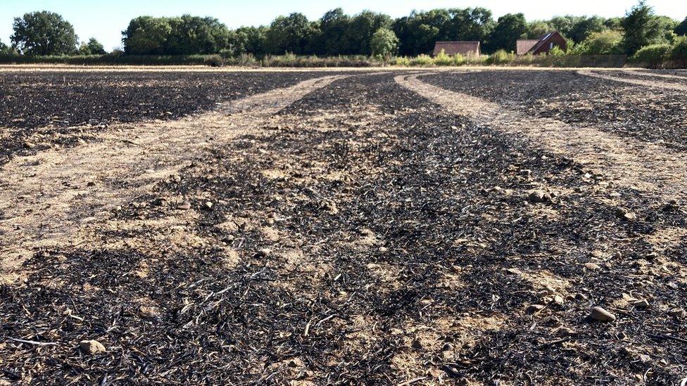 A field fire in Bentley, Suffolk