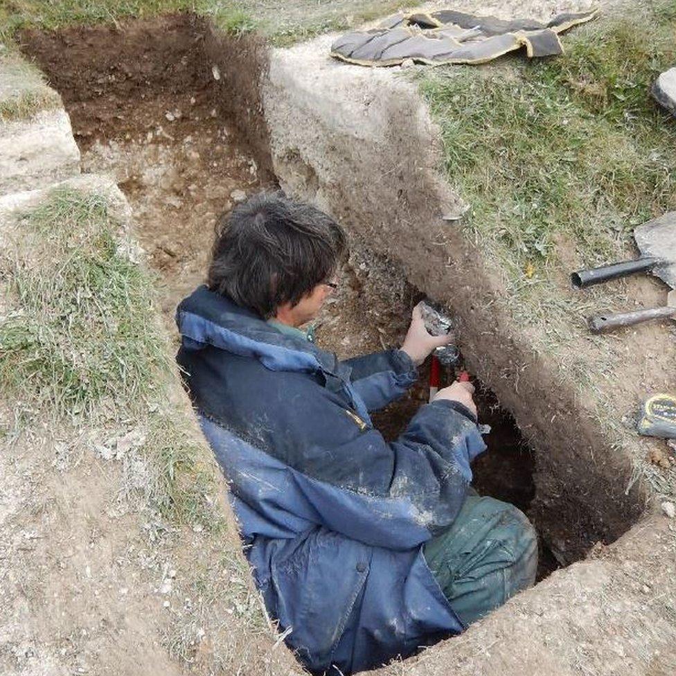 Soil samples being taken from the giant