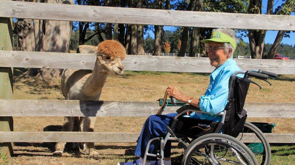 Norma Bauerschmidt meets an alpaca