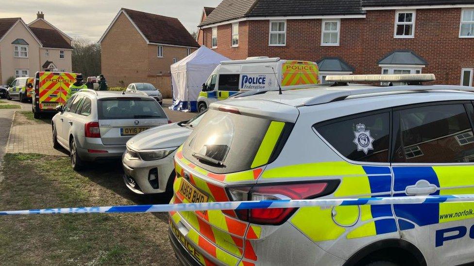 Police presence in Allan Bedford Crescent, Costessey, Norwich