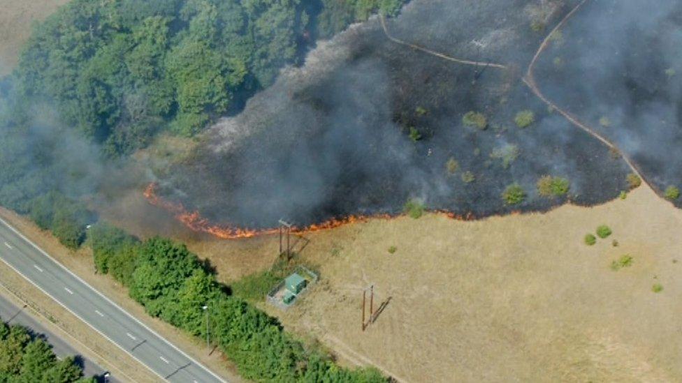 The fire damaged 1.5 hectares of land