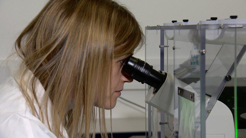 Scientist looking into microsope