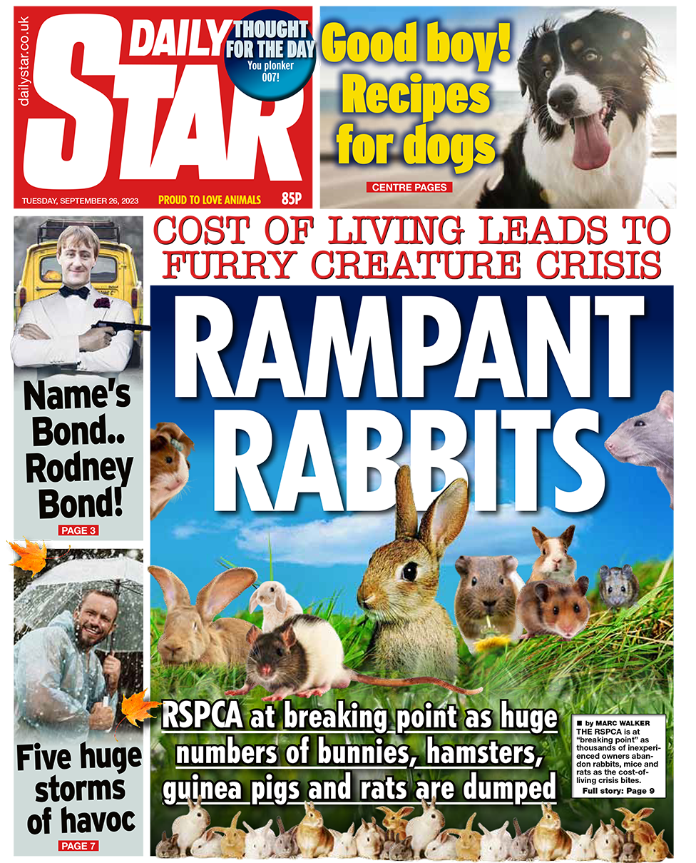 Fresh Russell Brand allegations and call for asylum reform - BBC News